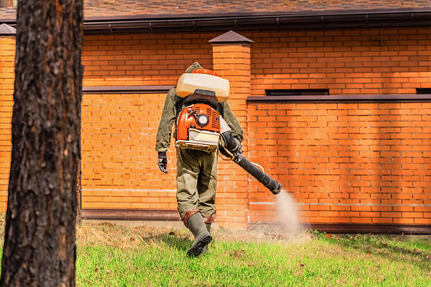 Trusted Emergency Pest Control service in Farmville, NC - Nex Pest Control
